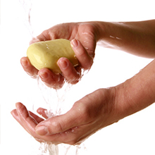Immune Support